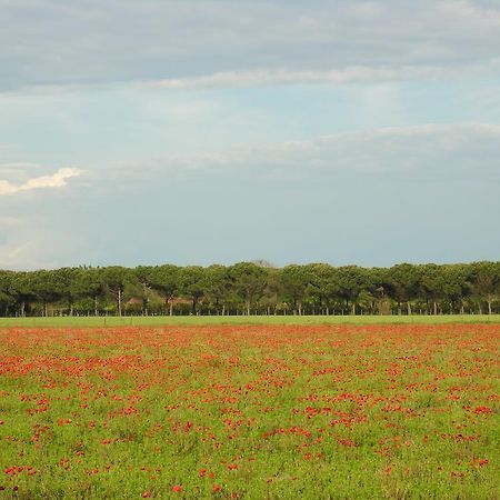 Appartamenti Mirella Bibione Buitenkant foto